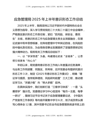 应急管理局2025年上半年意识形态工作总结