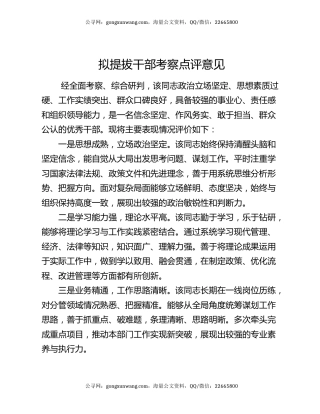 拟提拔干部考察点评意见