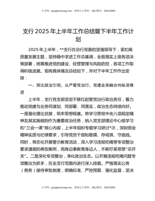 支行2025年上半年工作总结暨下半年工作计划