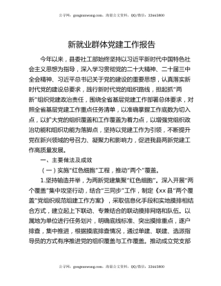 新就业群体党建工作报告