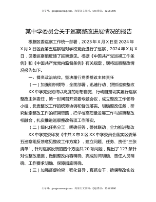 某中学委员会关于巡察整改进展情况的报告