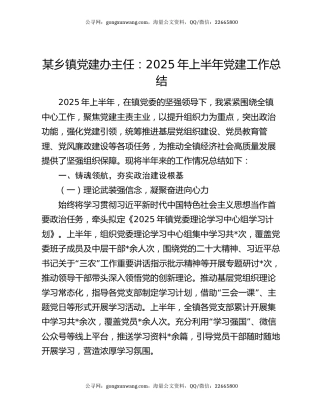 某乡镇党建办主任：2025年上半年党建工作总结​
