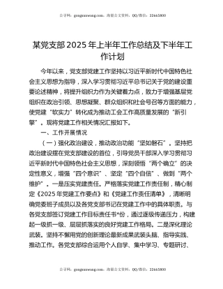某党支部2025年上半年工作总结及下半年工作计划
