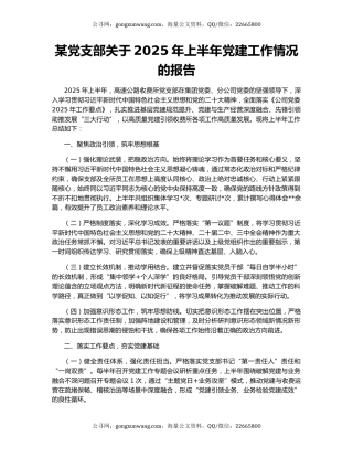 某党支部关于2025年上半年党建工作情况的报告