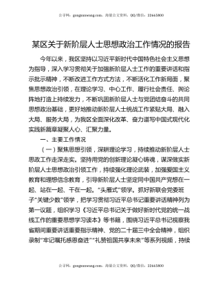 某区关于新阶层人士思想政治工作情况的报告