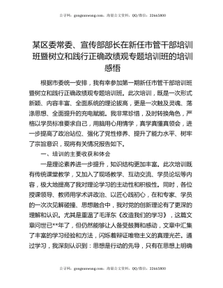 某区委常委、宣传部部长在新任市管干部培训班暨树立和践行正确政绩观专题培训班的培训感悟
