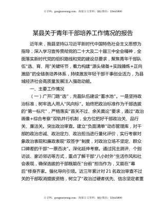 某县关于青年干部培养工作情况的报告
