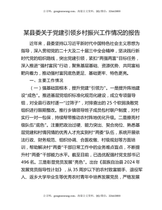 某县委关于党建引领乡村振兴工作情况的报告