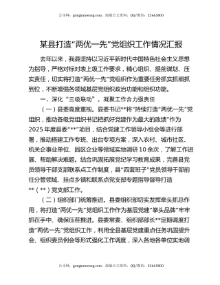 某县打造“两优一先”党组织工作情况汇报