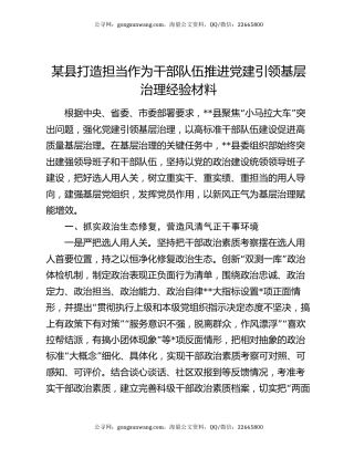 某县打造担当作为干部队伍推进党建引领基层治理经验材料