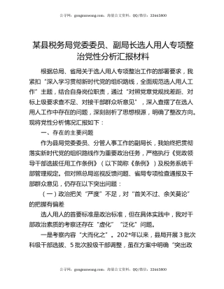 某县税务局党委委员、副局长选人用人专项整治党性分析汇报材料