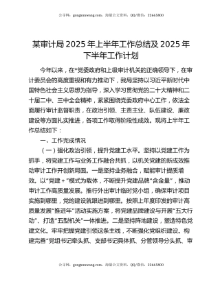 某审计局2025年上半年工作总结及2025年下半年工作计划