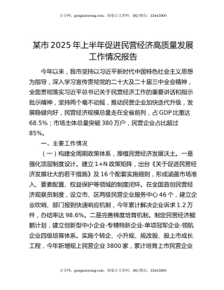 某市2025年上半年促进民营经济高质量发展工作情况报告