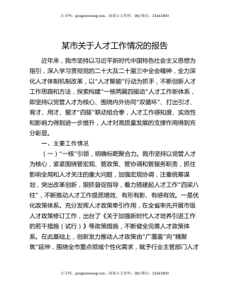 某市关于人才工作情况的报告
