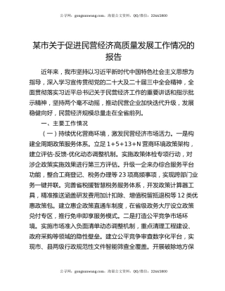 某市关于促进民营经济高质量发展工作情况的报告