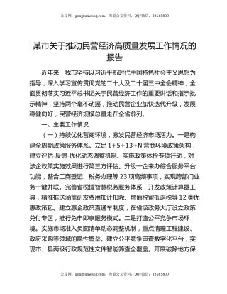 某市关于推动民营经济高质量发展工作情况的报告
