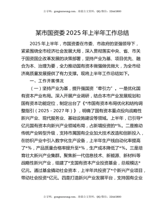 某市国资委2025年上半年工作总结