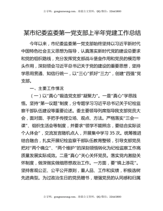 某市纪委监委第一党支部上半年党建工作总结
