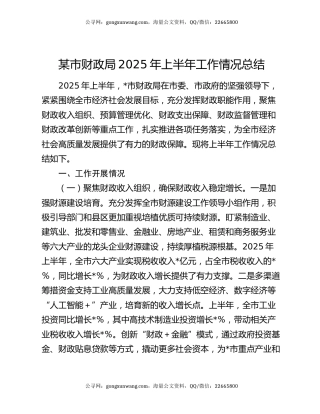 某市财政局2025年上半年工作情况总结