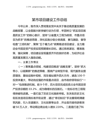 某市项目建设工作总结