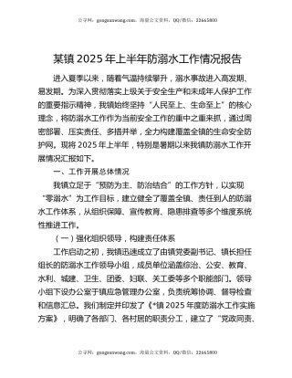 某镇2025年上半年防溺水工作情况报告