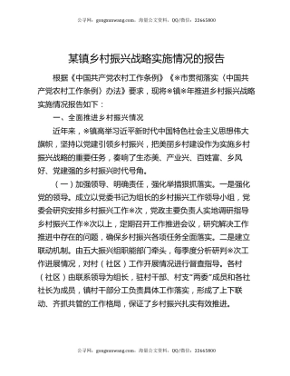 某镇乡村振兴战略实施情况的报告