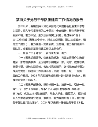 某镇关于党务干部队伍建设工作情况的报告