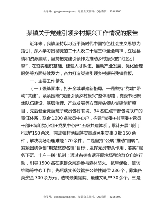 某镇关于党建引领乡村振兴工作情况的报告