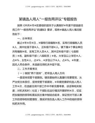 某镇选人用人“一报告两评议”专题报告