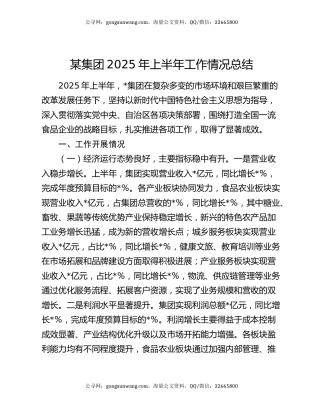 某集团2025年上半年工作情况总结