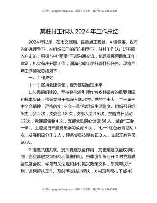 某驻村工作队2024年工作总结