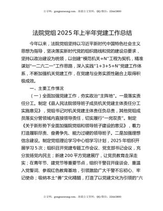 法院党组2025年上半年党建工作总结