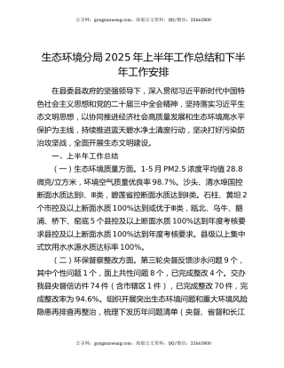生态环境分局2025年上半年工作总结和下半年工作安排