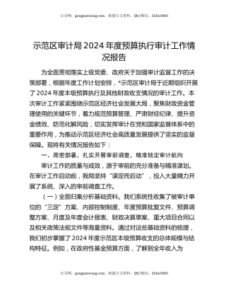 示范区审计局2024年度预算执行审计工作情况报告