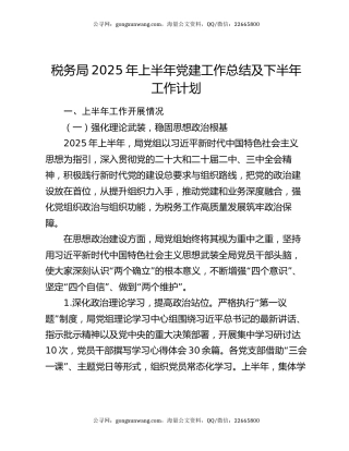 税务局2025年上半年党建工作总结及下半年工作计划
