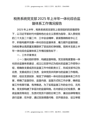 税务系统党支部2025年上半年一体化综合监督体系工作情况报告