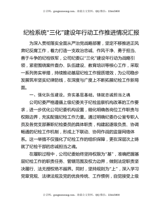 纪检系统“三化”建设年行动工作推进情况汇报