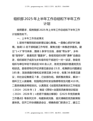 组织部2025年上半年工作总结和下半年工作计划