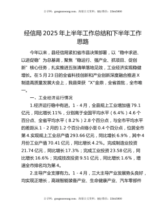 经信局2025年上半年工作总结和下半年工作思路