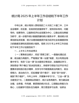 统计局2025年上半年工作总结和下半年工作计划