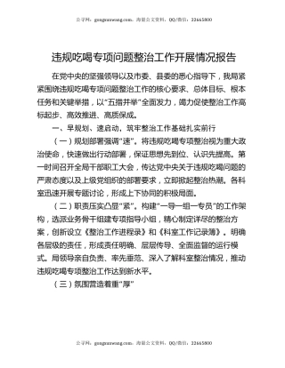 违规吃喝专项问题整治工作开展情况报告