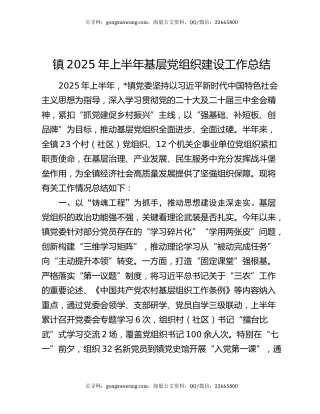 镇2025年上半年基层党组织建设工作总结