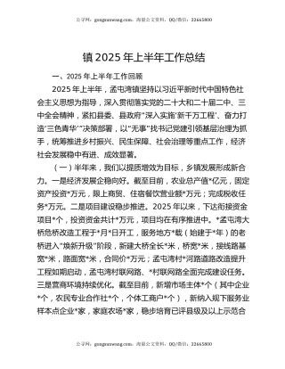 镇2025年上半年工作总结