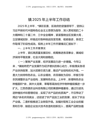 镇2025年上半年工作总结（2）