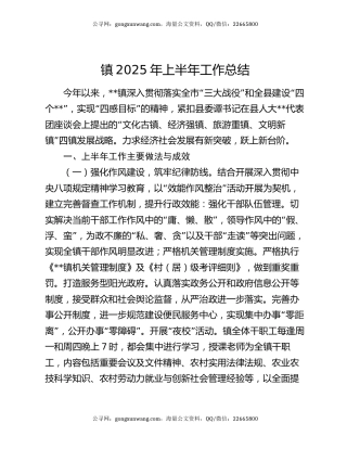 镇2025年上半年工作总结（3）