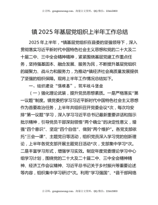 镇2025年基层党组织上半年工作总结