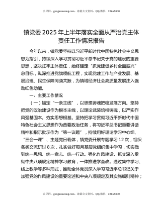 镇党委2025年上半年落实全面从严治党主体责任工作情况报告