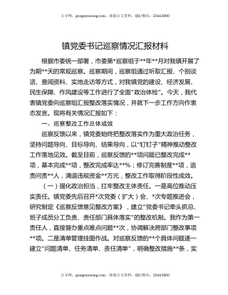 镇党委书记巡察情况汇报材料