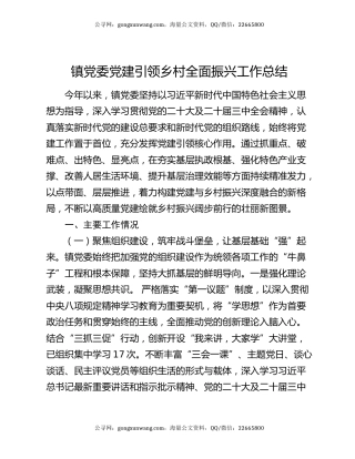镇党委党建引领乡村全面振兴工作总结
