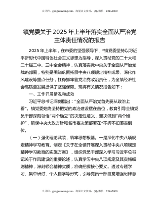 镇党委关于2025年上半年落实全面从严治党主体责任情况的报告